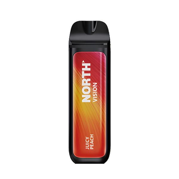 north vape flavor North Vision Vape 15000 Puffs main image 1