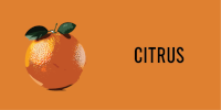 citrus