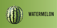 watermelon