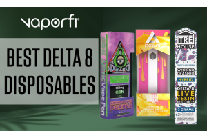 Best Delta 8 Disposables