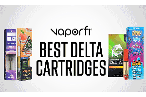 Best Delta 8 Carts