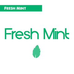 Fresh Mint Vape Juice
