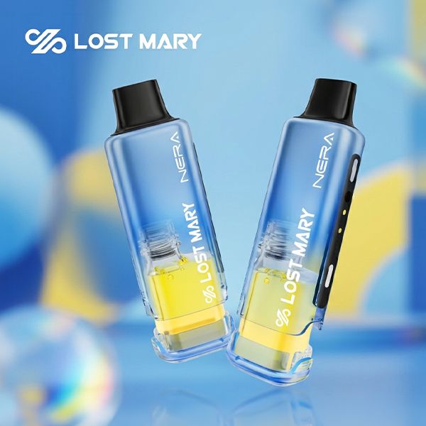 Lost Mary