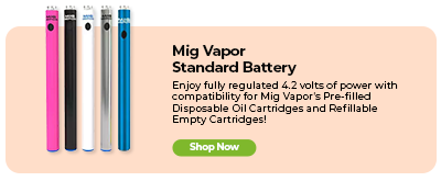 MIG VAPOR STANDARD BATTERY